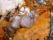 Mineraler